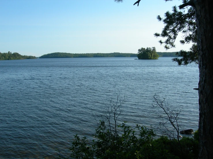 a large body of water that has some trees around it