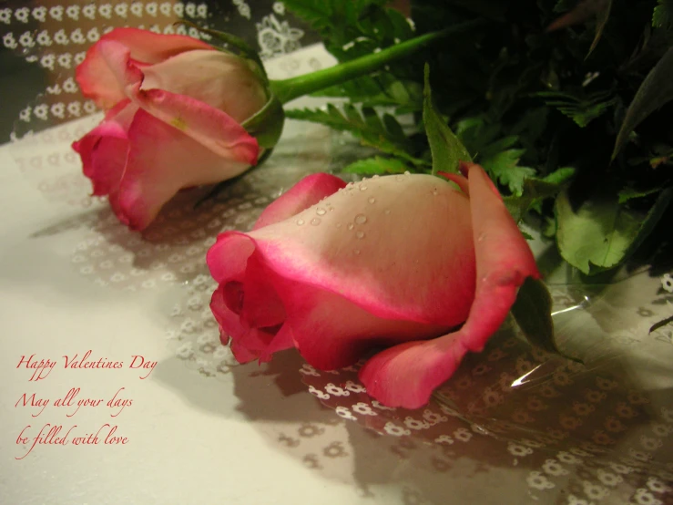 two pink roses are laying on a wedding congratulations card