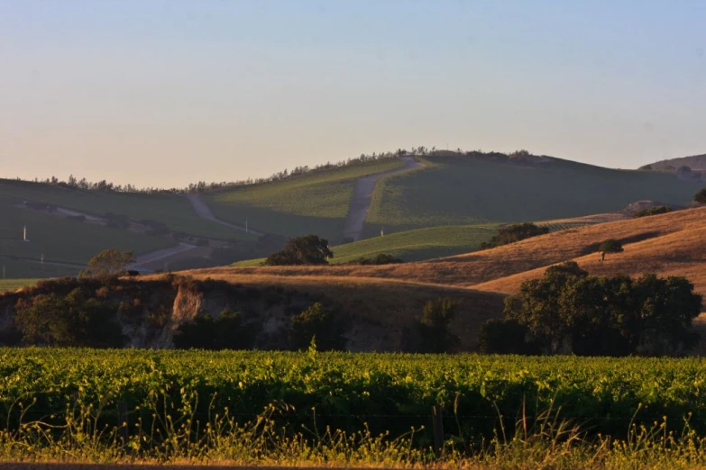 a big field with hills and trees on the sides of it