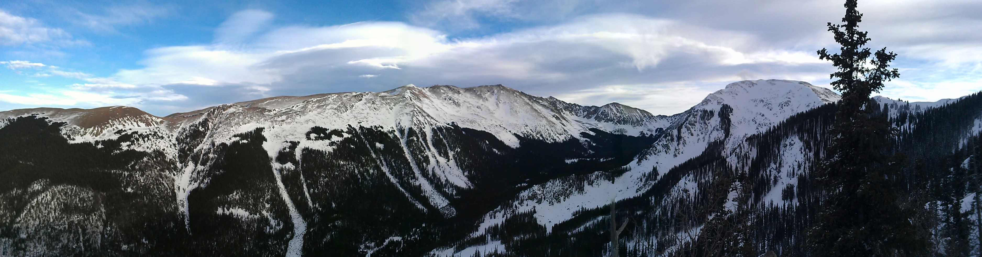 snow covered mountain tops with a tree nch sticking out