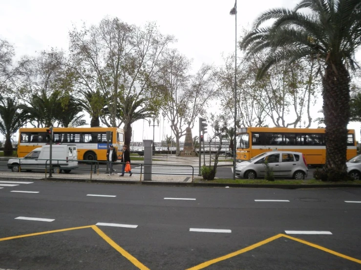 several yellow busses are parked next to each other