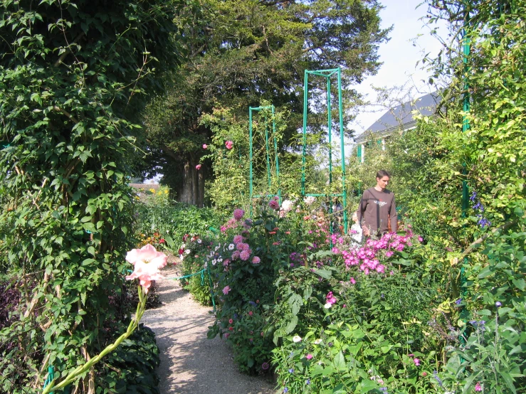 a man walking on a path surrounded by flowers