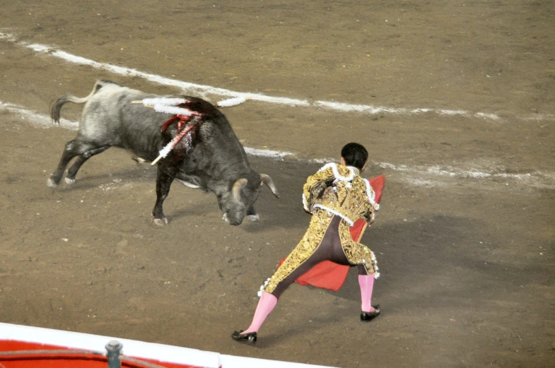 a man in gold jacket running next to a cow