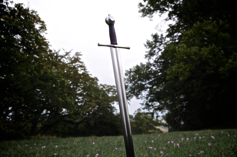 a sword that is in the grass with trees in the background