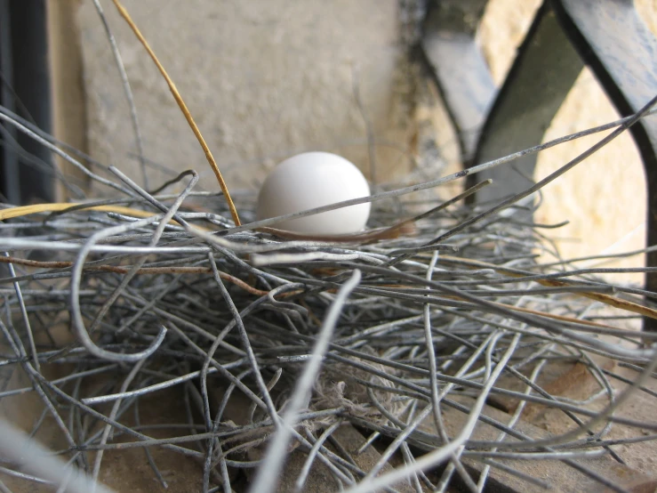 two eggs in a nest on the floor of a building