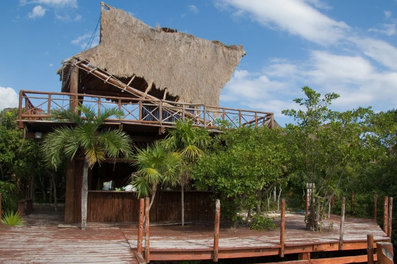 a wooden deck next to some trees and plants