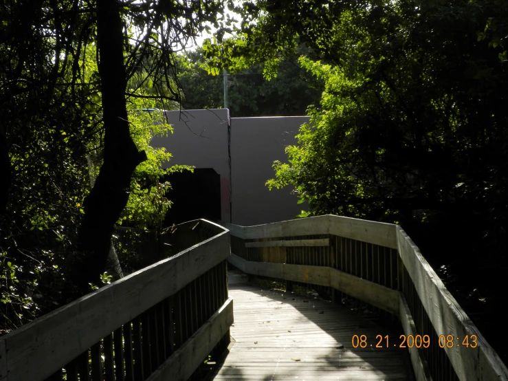 a wooden pathway going into the woods, in a sunlit spot