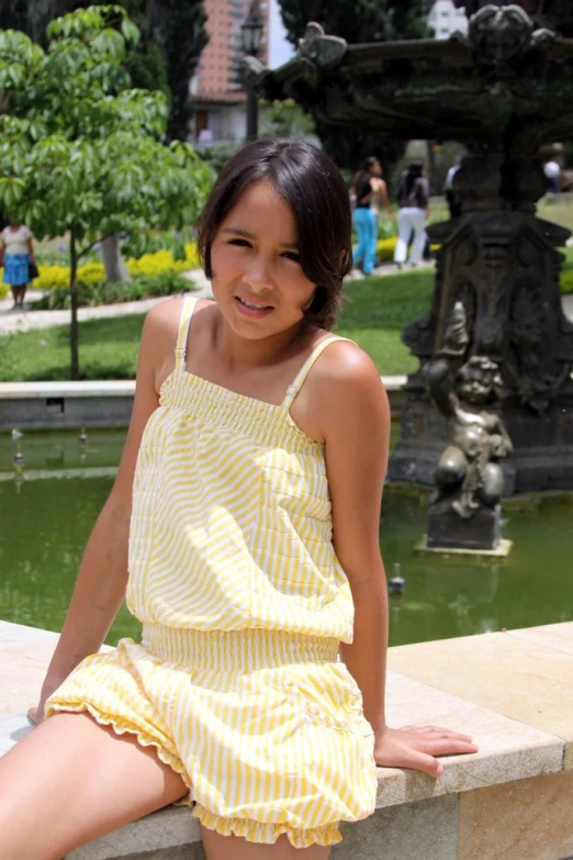 a  sitting on a wall near a fountain