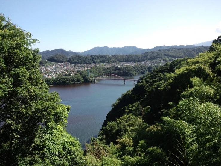 the river has many trees along it and a bridge over it