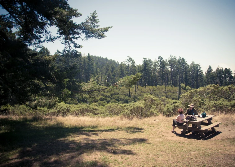 some people are sitting on two atvs in the woods