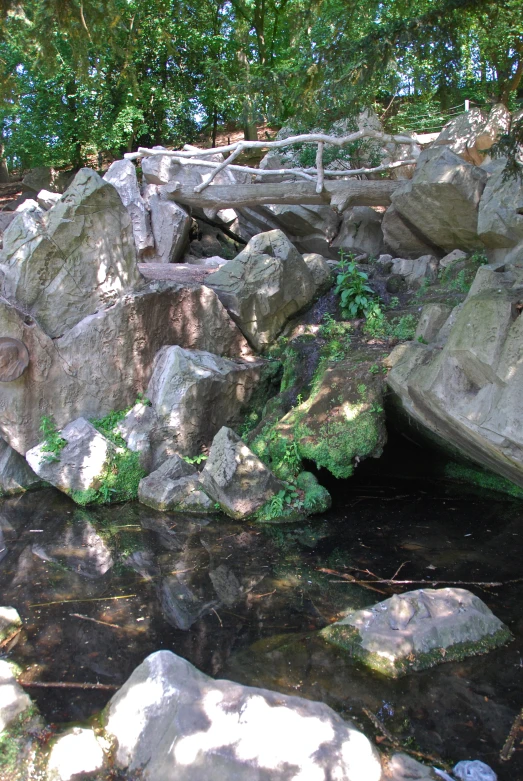 a rocky stream is running through a green area