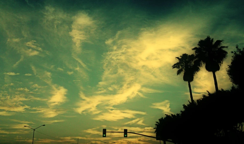 a green sky is shown with clouds and palm trees