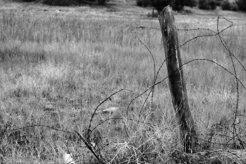 a fence that is in the grass by itself