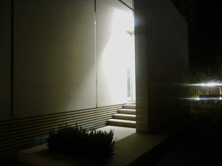 a building with some plants in the dark