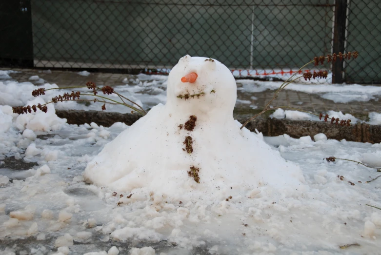 a snowman standing on the ground in front of some flowers