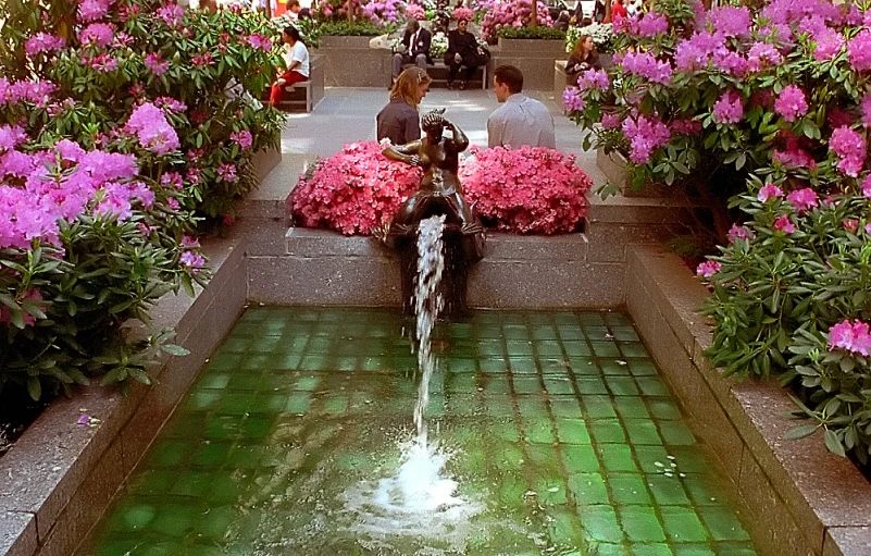 there is a water fountain in a garden