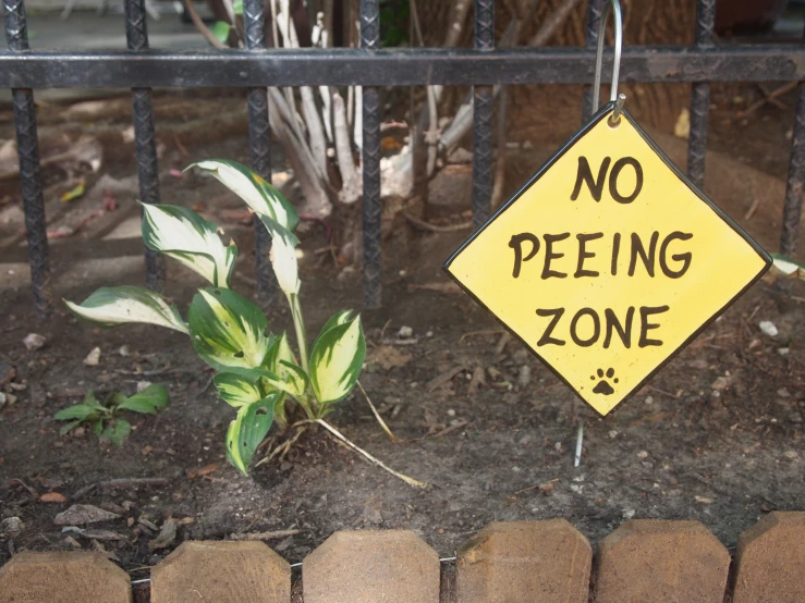 a sign on a metal gate with the saying no peeing zone hanging