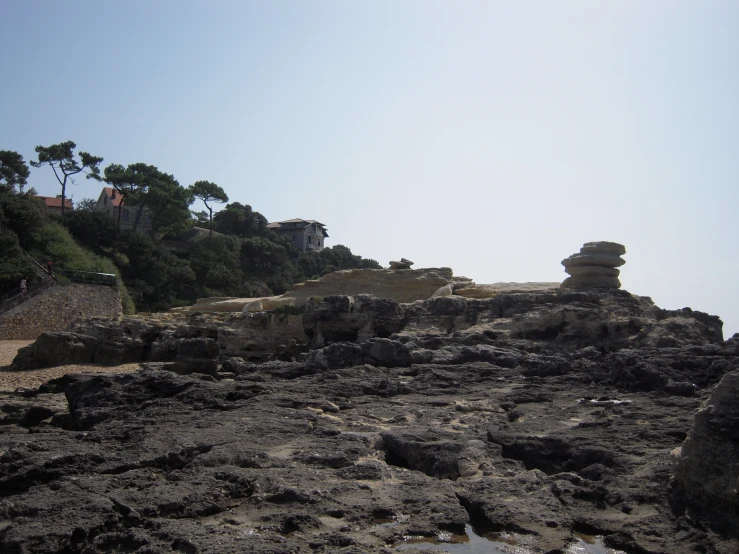 stone steps and trees on an ocean shore