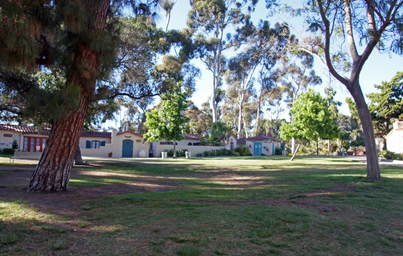 a grassy area next to a home surrounded by trees