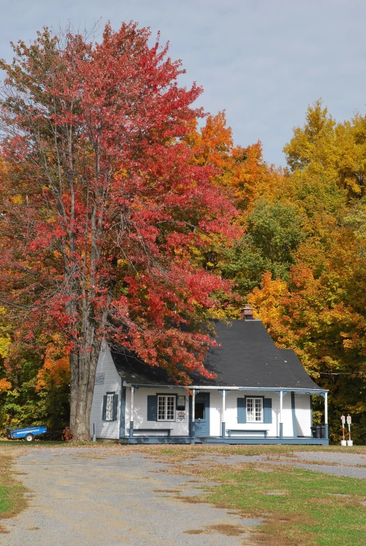 a house that has some trees and fall foliage