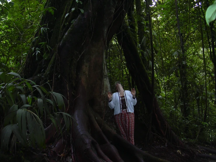 a person with their head in the trees