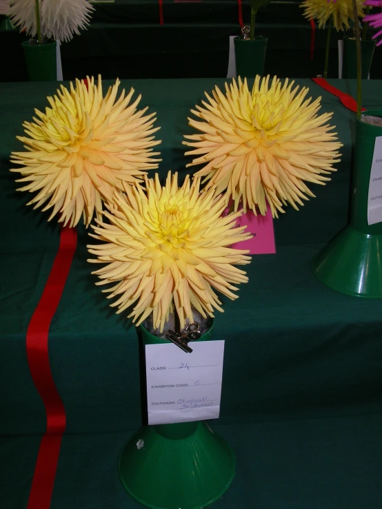 three small yellow flowers with red ribbons in a vase