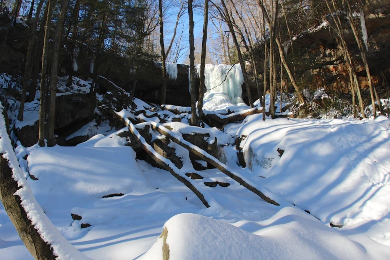 a snowy wooded area with a waterfall and trees