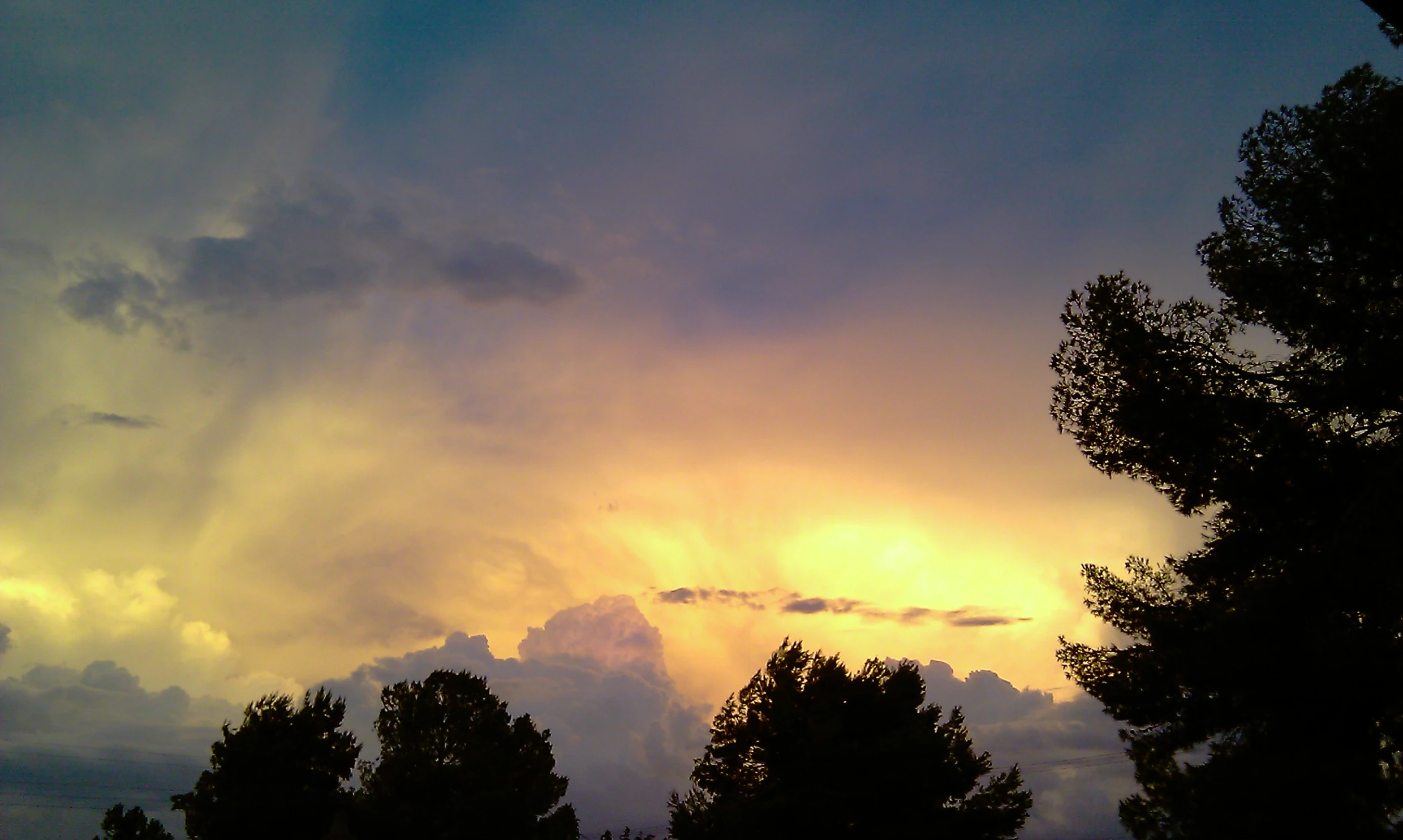 the sun rises above a forest at dusk