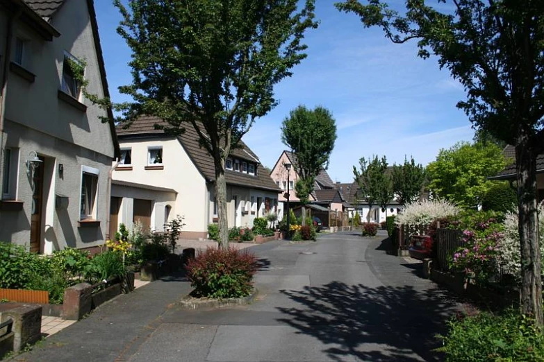 a street has houses and trees on the sides