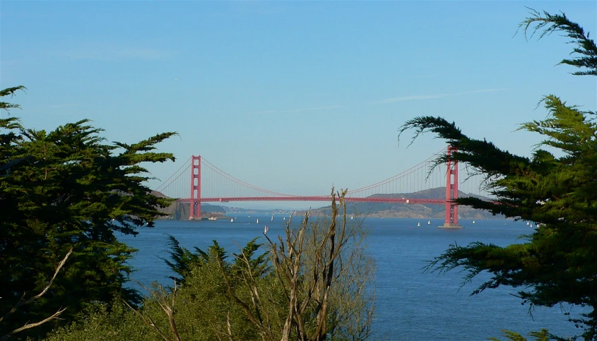 a long bridge stretches over the ocean from a forested area