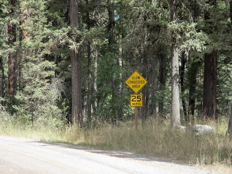 a road sign sitting next to a forest filled with trees