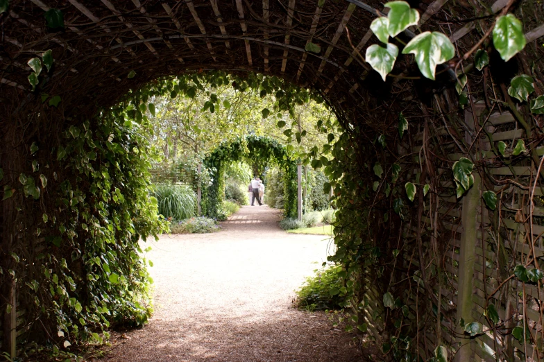 a pathway leading to a tree lined garden