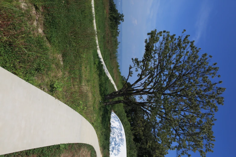 two benches near a tree next to a pathway