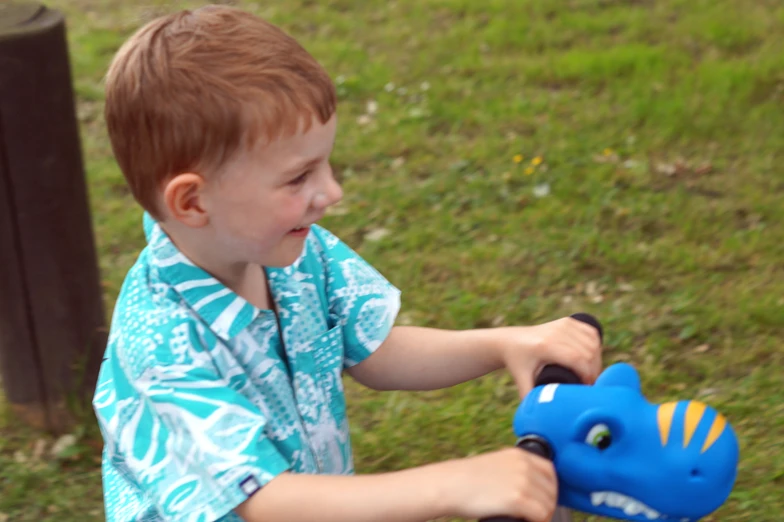  with blue toy in grassy area, close to fence