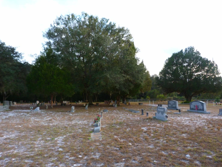 various headstones of different sizes in an old graveyard