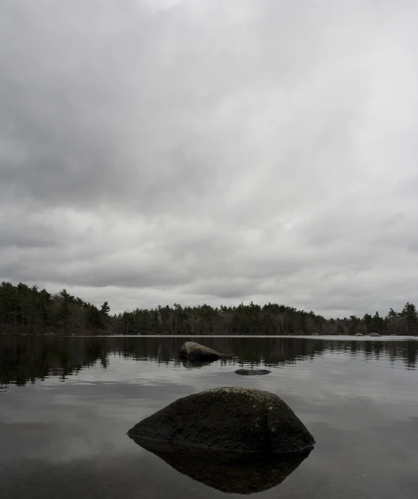 an island in a calm lake is near by