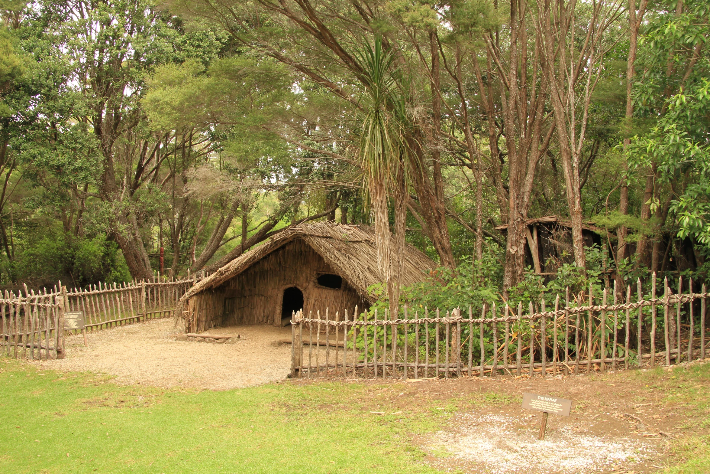 a village is located in the middle of the jungle