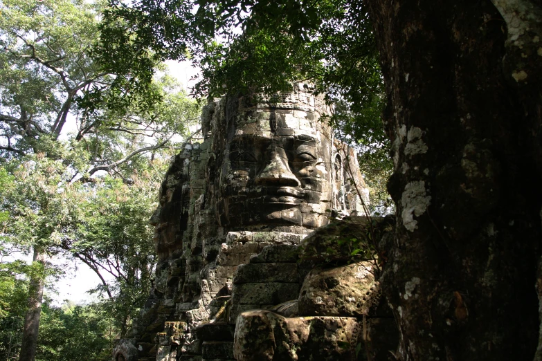 the face of a giant stone buddha carved into a tree