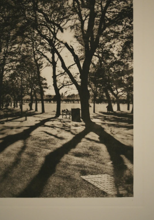 long shadows on a park bench and the ground