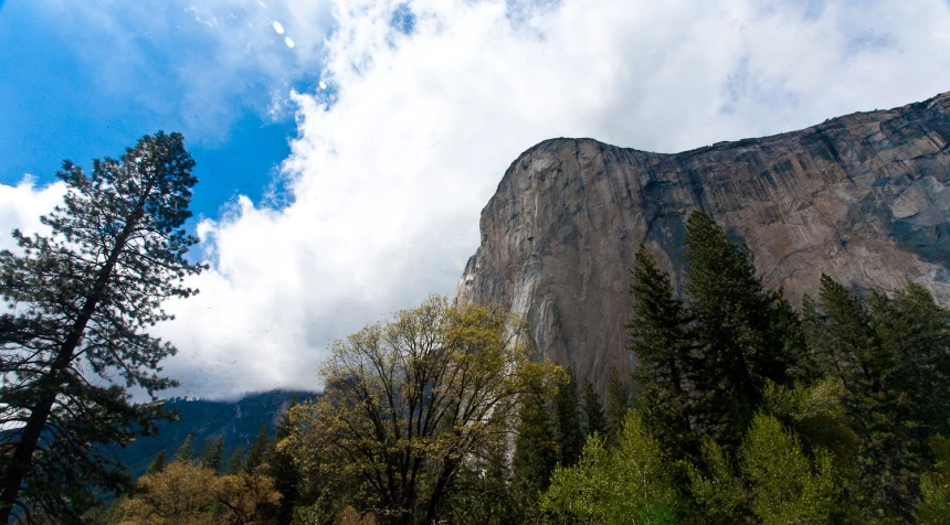 trees and mountain in the distance with clouds in sky