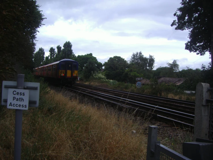 a train travels through the woods on tracks