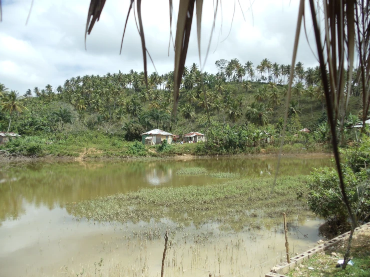 some water and trees on the land with houses