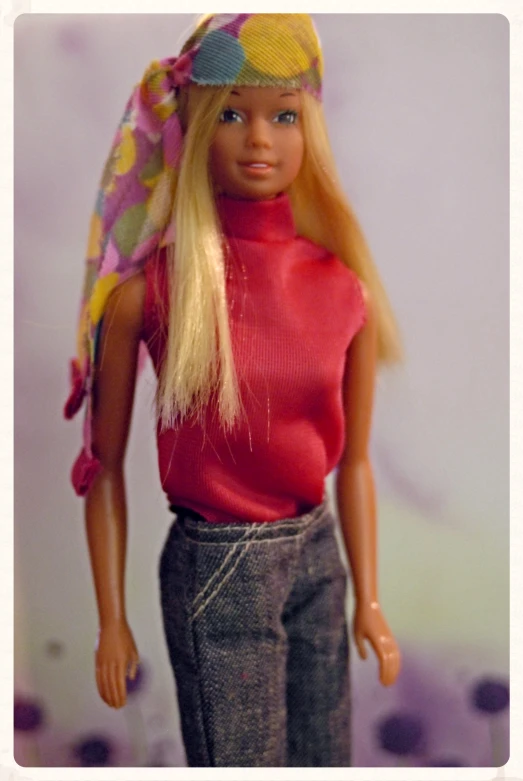 a doll wearing a red top and gray pants
