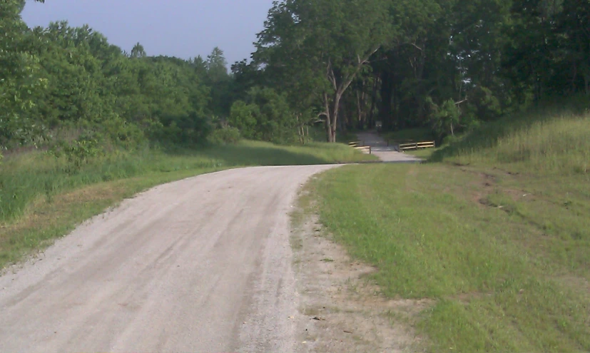 a road through a grassy area with trees on both sides