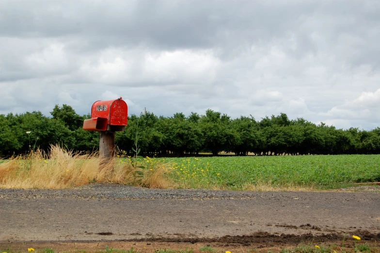 an image of a mail box on a pole