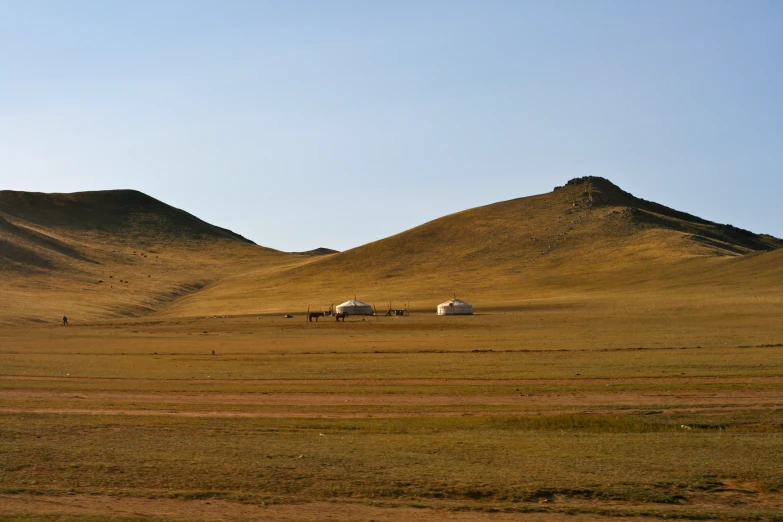 three white horses on a grassy plain surrounded by hills