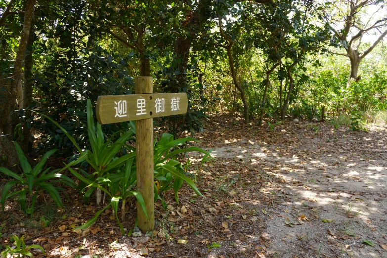 an information sign stands on a dirt trail