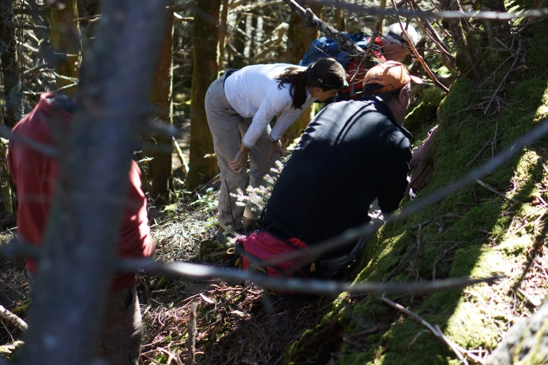 a group of people working in the woods