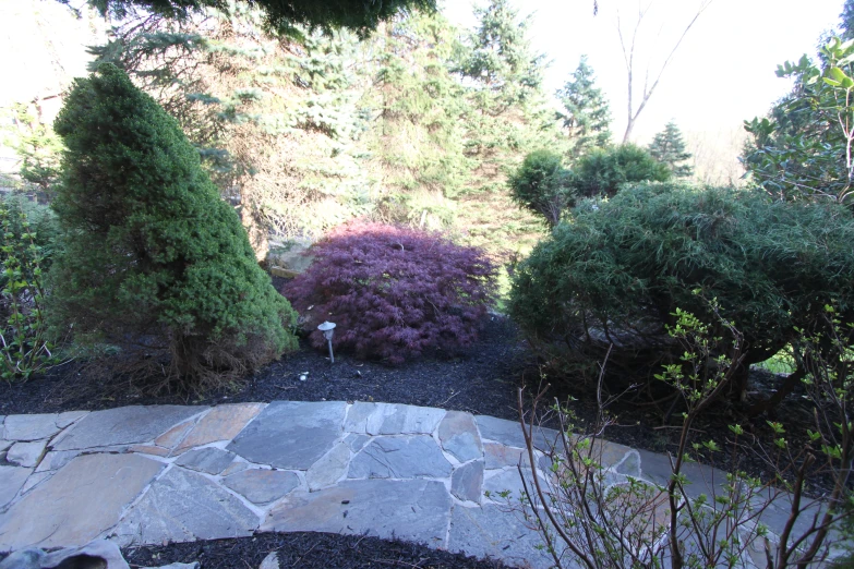 a walkway in a yard has a rock path through it