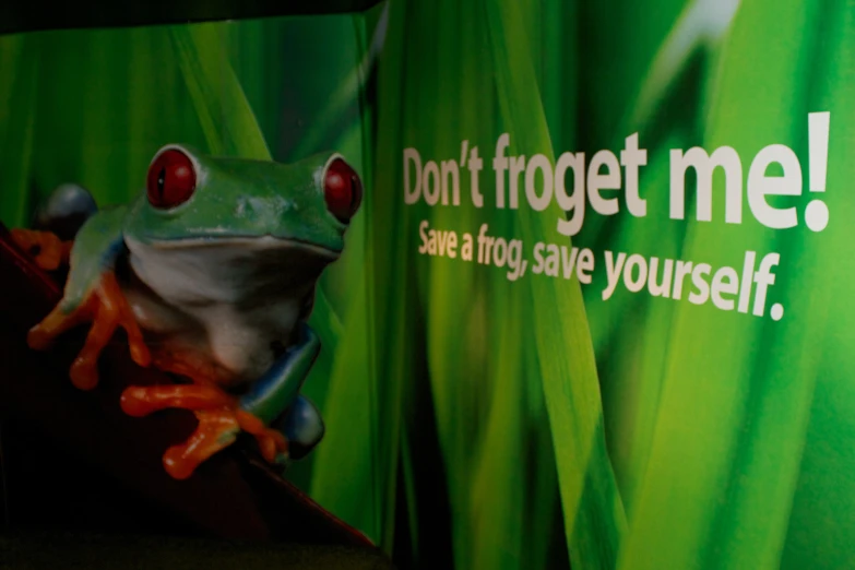 a frog sitting on a window ledge and a sign behind it